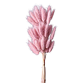 Сухоцвет "Лагурус", 60шт./пучок, светло-лиловый