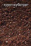 Купить специальный грунт для посадки Туи в упаковке 40 литров в интернет-магазине beldrevo.by
