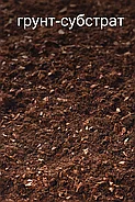 Купить специальный грунт для посадки Туи в упаковке 40 литров в интернет-магазине beldrevo.by