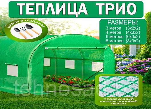 Теплица "ТРИО" 6 метров, фото 2