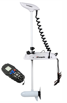 Электромотор haibo ipenguin P001 12v/72 + площадка