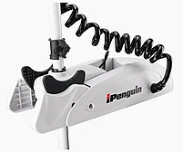 Электромотор haibo ipenguin P001 12v/72 + площадка, фото 4