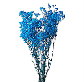 Сухоцвет "Гипсофила", 120 гр./упак., голубой