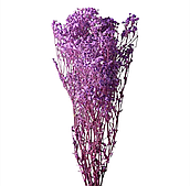 Сухоцвет "Гипсофила", 120 гр./упак., сиреневый