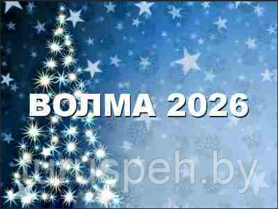 Новый год в Беларуси - Санаторий «Волма 2026»