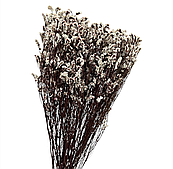 Сухоцвет "Каспия", 120 гр/упак., молочный