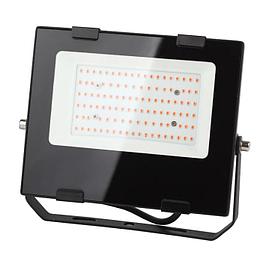 Светильник для растений ЭРА FITO-50W-RB-LED / Б0046368