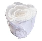 Сухоцвет "Роза"