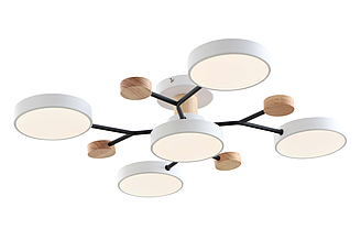 Потолочная люстра NewRgy 18073STD/5 WT