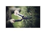 Ножницы для живой изгороди HS22 с волнообразным лезвием FISKARS SingleStep, фото 4