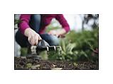 Культиватор садовый Premium FISKARS, фото 4