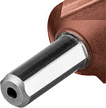 ЗУБР Кобальт, 6-20 мм, 8 ступеней, сталь Р6М5, кобальтовое покрытие, ступенчатое сверло, Профессионал, фото 4