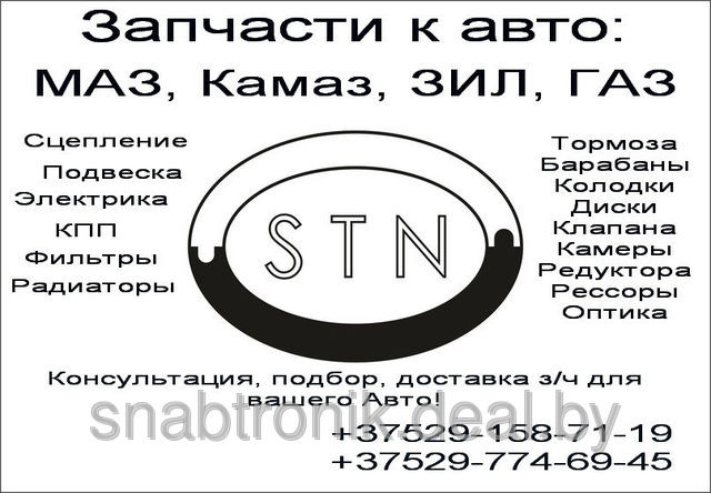 Усилитель тормозов ГАЗ-3309 (с АБС) с ГТЦ в сб. 3309-3510009 - фото 2 - id-p25901464