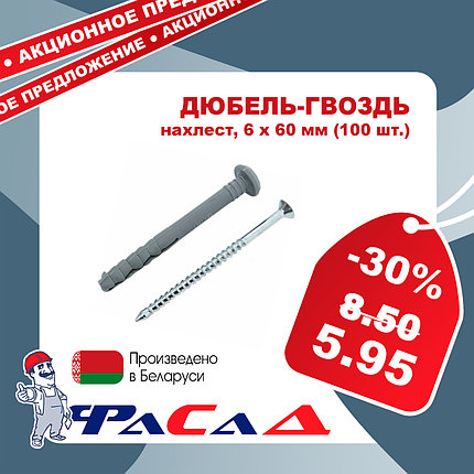 Дюбель-гвоздь 6х60 мм. нахлест (уп. 100 шт.), фото 2