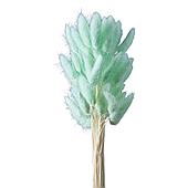 Сухоцвет "Лагурус", 60шт./пучок, светло-зеленый