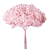 Сухоцвет "Гортензия", длина 60-70 см, светло-розовый