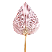 Сухоцвет "Пальмовые листья"