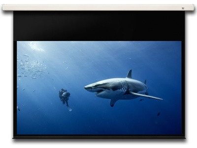 Экран настенный Seemax Delicate MW 188x188 см, Арт.: CEEBI70SWM