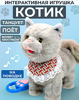 Умный котенок повторяшка на поводке ходит мяукает виляет хвостом