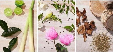 Туалетная вода Elizabeth Arden Green Tea Citron Freesia, фото 2