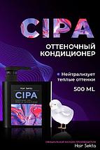 Тонирующий кондиционер для волос Hair Sekta CIPA HS044, фото 2