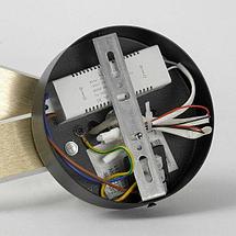 Светильник Lussole Taylor LSP-7231, фото 2