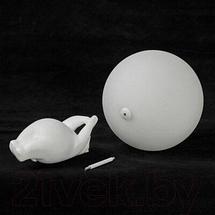 Потолочный светильник Lussole LSP-8903, фото 3