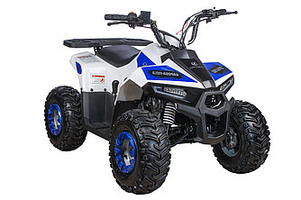 Квадроцикл YACOTA RAPOSA 110