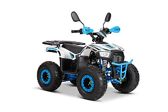 Квадроцикл YACOTA SIRIUS 110