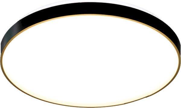 Потолочный светильник Aitin-Pro HY61079 2x60Вт, фото 2