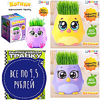 Набор для опытов выращиваем травку, растение в горшочке, набор для творчества