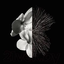 Парфюмерная вода Givenchy Gentleman, фото 3