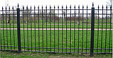 Кованый забор для дома и дачи., фото 2