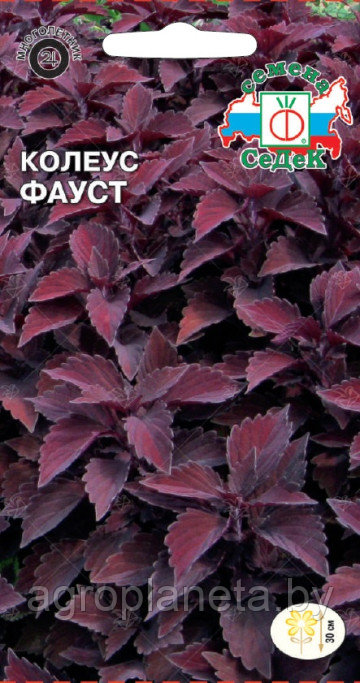 Колеус Фауст 0,1г