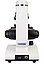 Микроскоп Levenhuk Discovery Femto Polar с книгой, фото 8