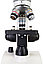 Микроскоп Levenhuk Discovery Femto Polar с книгой, фото 10