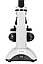 Микроскоп цифровой Levenhuk Discovery Nano Polar с книгой, фото 8