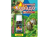 Средство от колорадского жука и тли Корадо 10 мл+ Панэм 20 мл, фото 2