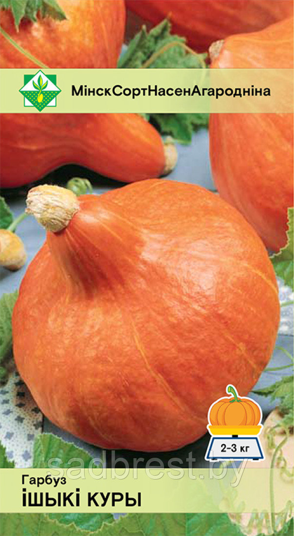 Семена Тыква Ишики Кури (5 шт) МССО
