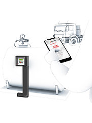 Разовый доступ в системе B.SMART