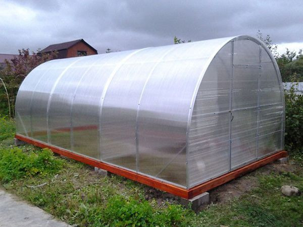 Теплица Сибирская 40ЦК-0,67 4х3х2 ( крепление краб)