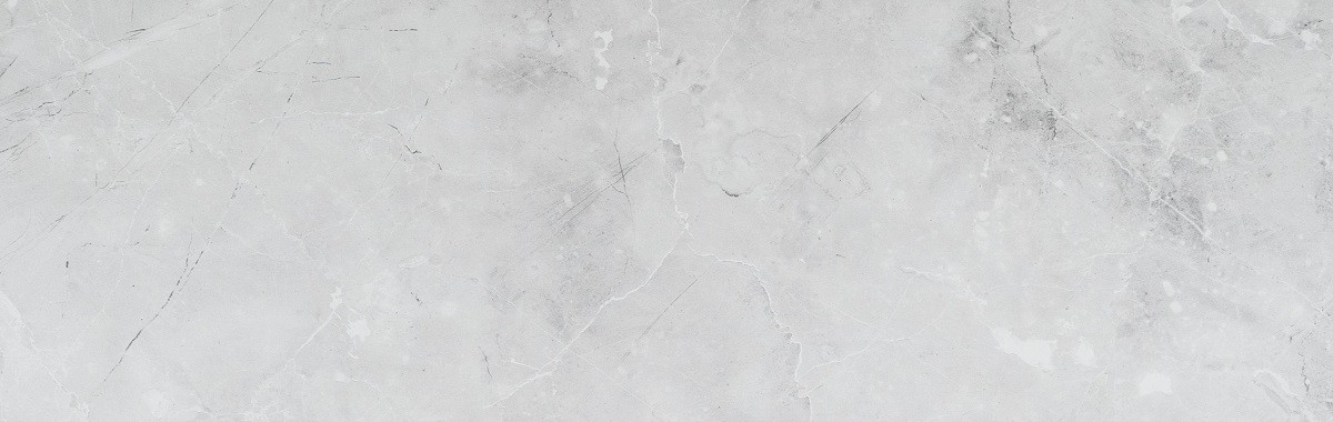 Скинали стеновая панель № 187 Венеция