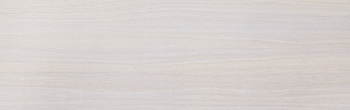 Скинали стеновая панель № 325 П Северная Пальмира