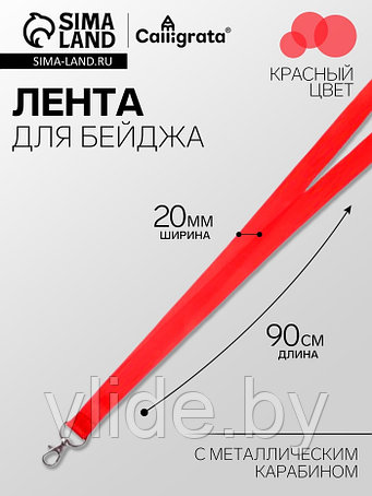 Бейджи