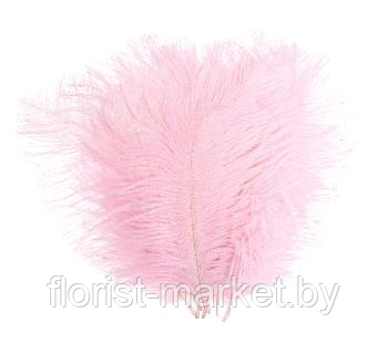Страусиное перо, 15-20 см, набор 10 шт, цв. пыльный розовый