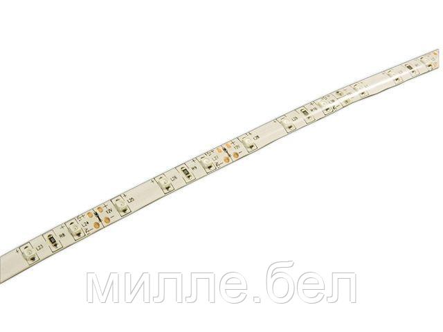 Лента светодиодная PLS 2835/60 (6.0 Вт/м, 480 Лм/м, IP65, 12В (5 м в уп.) синий JAZZWAY (60 диод/м, синий