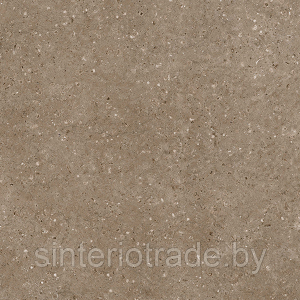 Керамогранит Гранитея Аркаим Коричневый  600х600 MR матовый