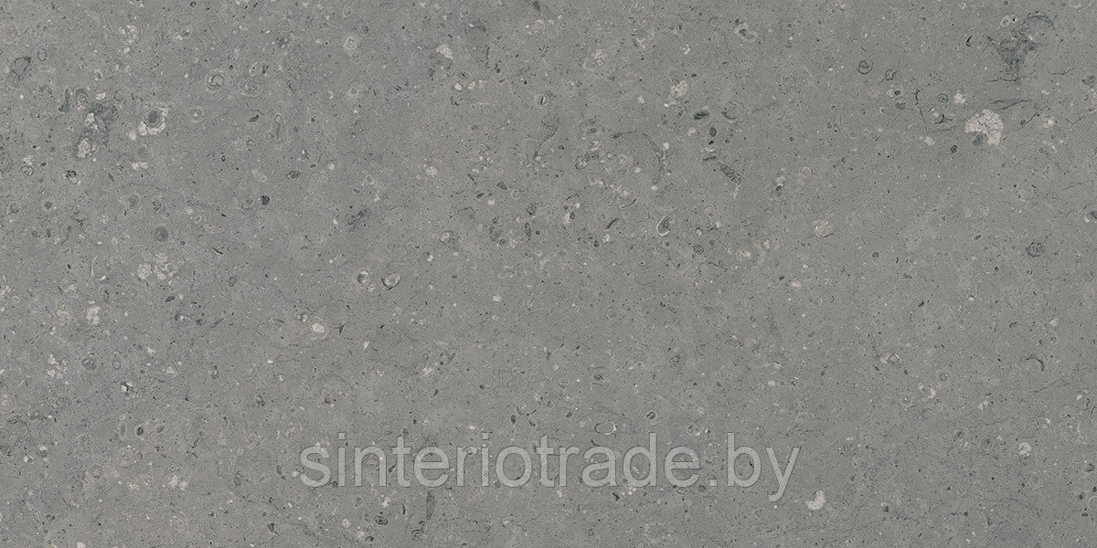 Керамгранит Гранитея Аркаим Серый 1200х600х11 MR матовый