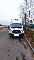 Аренда грузового микроавтобуса — рефрижератор Ford Transit без водителя посуточно, по Беларуси, фото 3
