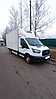 Аренда грузового микроавтобуса — рефрижератор Ford Transit без водителя посуточно, по Беларуси, фото 2